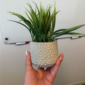 Office/home decor multiple styles